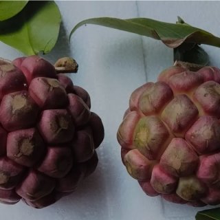快乐小伙伴